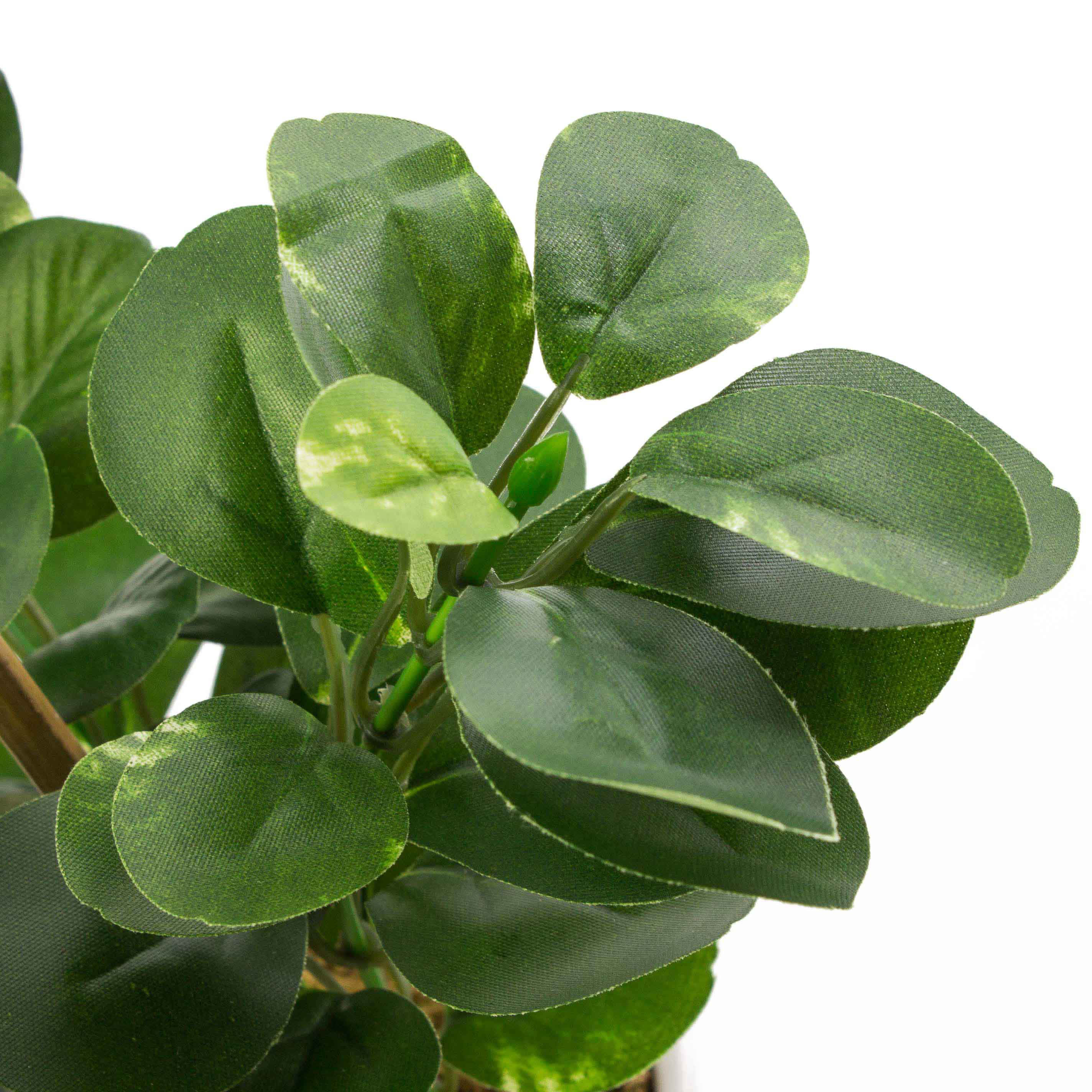 Pianta di peperomia finta ZORAN in vaso decorativo, verde, 30cm - Piante  artificiali