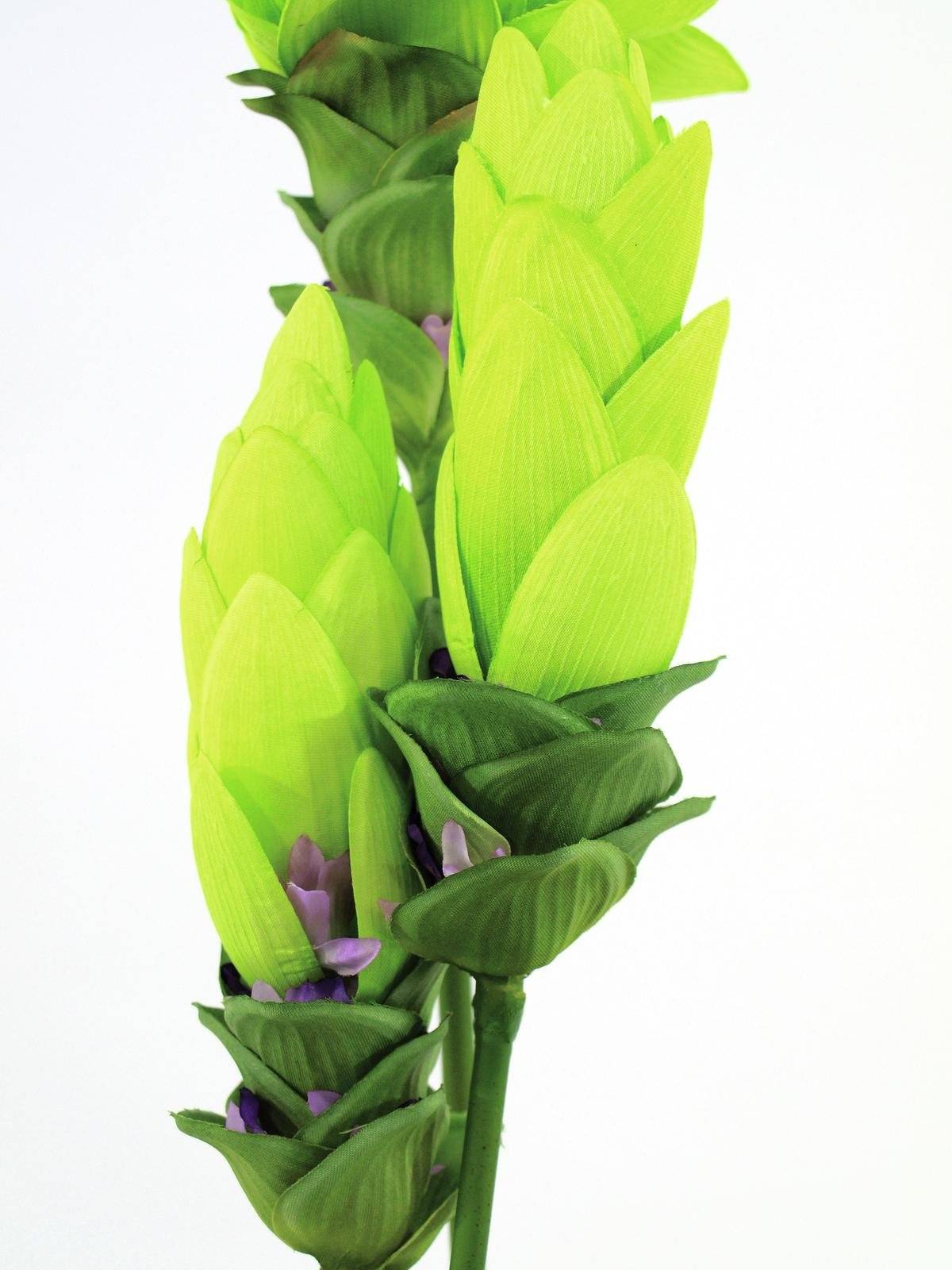 Pianta di curcuma finta ROMINA vaso decorativo, verde, 95cm, Ø5cm - Fiori  artificiali