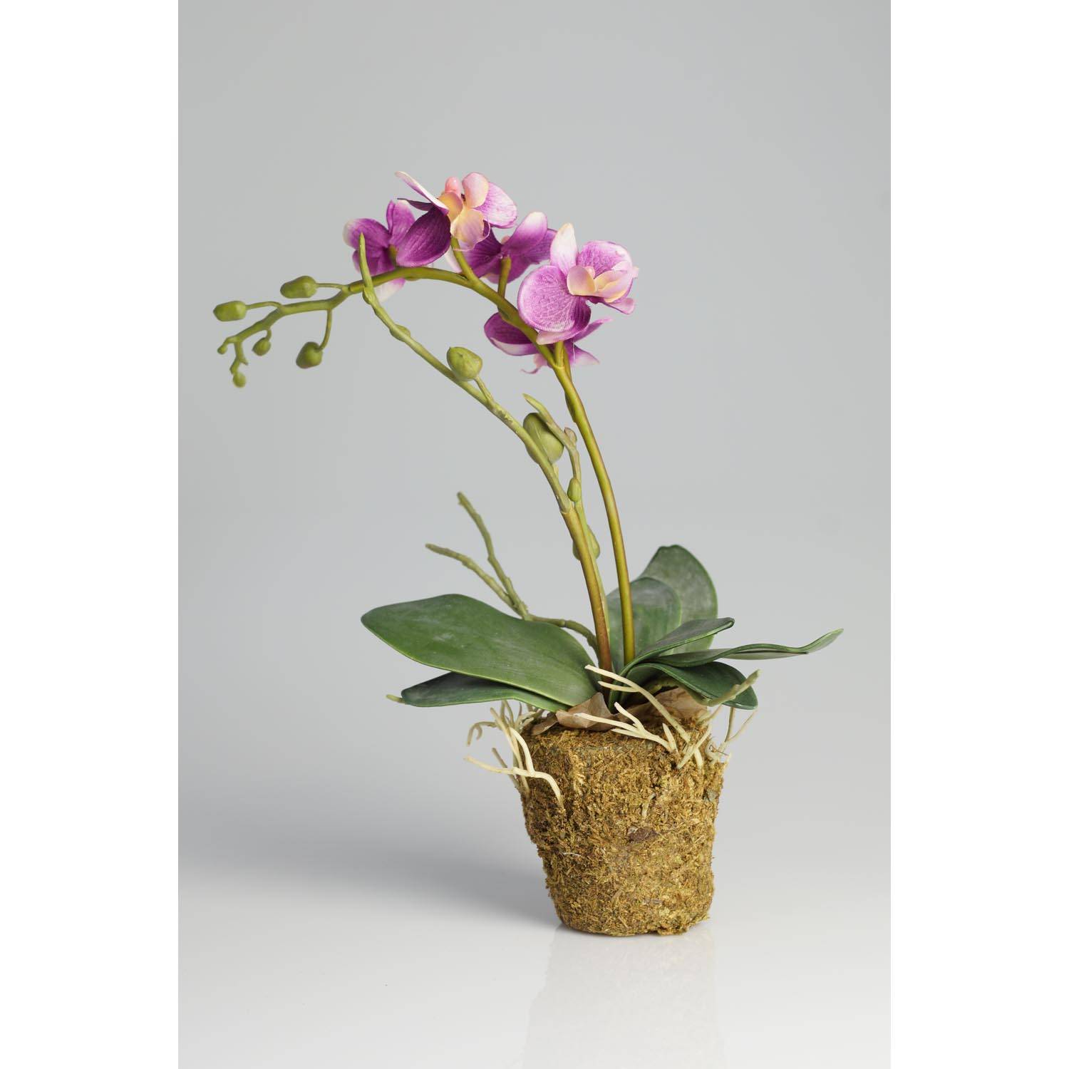 Orchidea finta ZEHRA con ceppo di muschio, viola, 30cm, Ø3-4cm - Fiori  artificiali