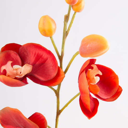 Orchidea Phalaenopsis decorativa TAMIA, vaso in argilla, arancione, 50cm