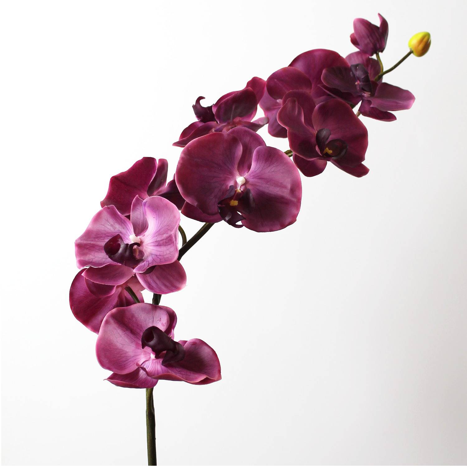 Orchidea Phalaenopsis finta FIDELIA, viola scuro, 110cm, Ø7-12cm - Fiori  artificiali
