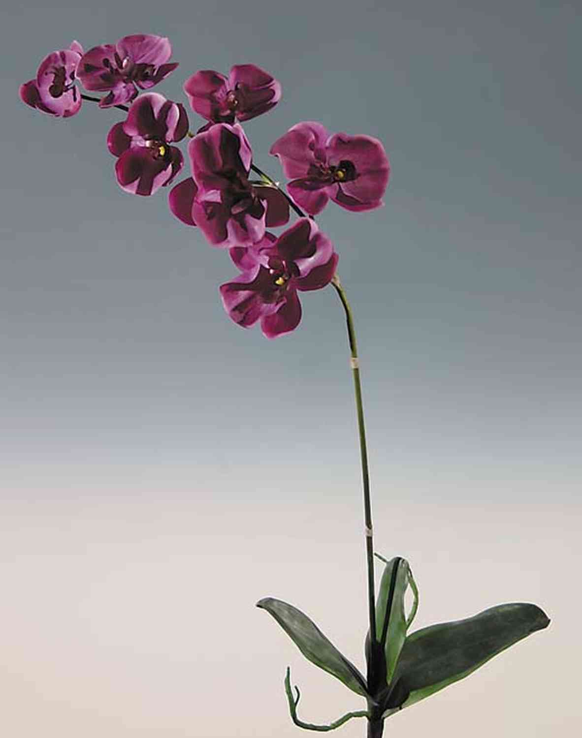 Orchidea phalaenopsis artificiale ZAFIRA, su stelo, viola scuro, 75cm