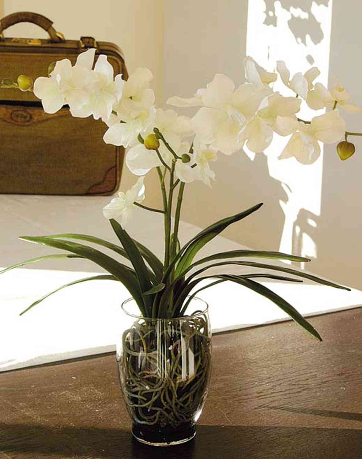 EASYCOMFORT Orchidea Finta in Vaso Alta 75cm per Interno ed Esterno, Bianco