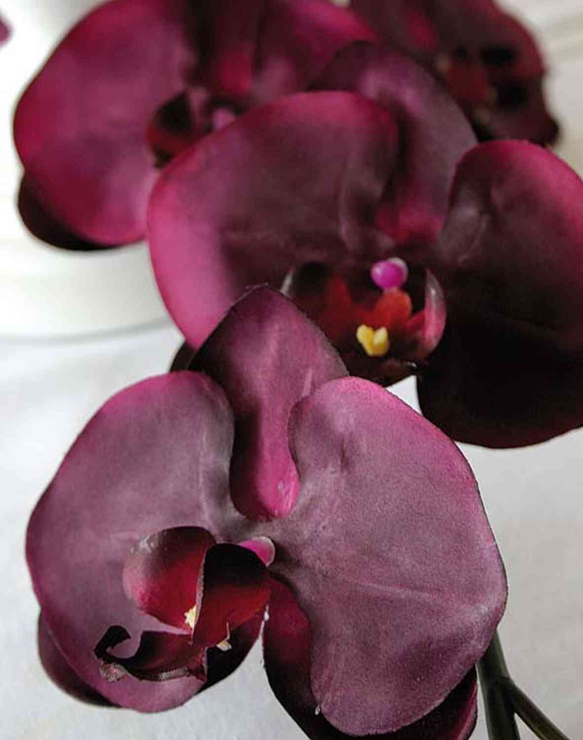 Ramo artificiale di orchidea phalaenopsis MIRABELLA, rosso