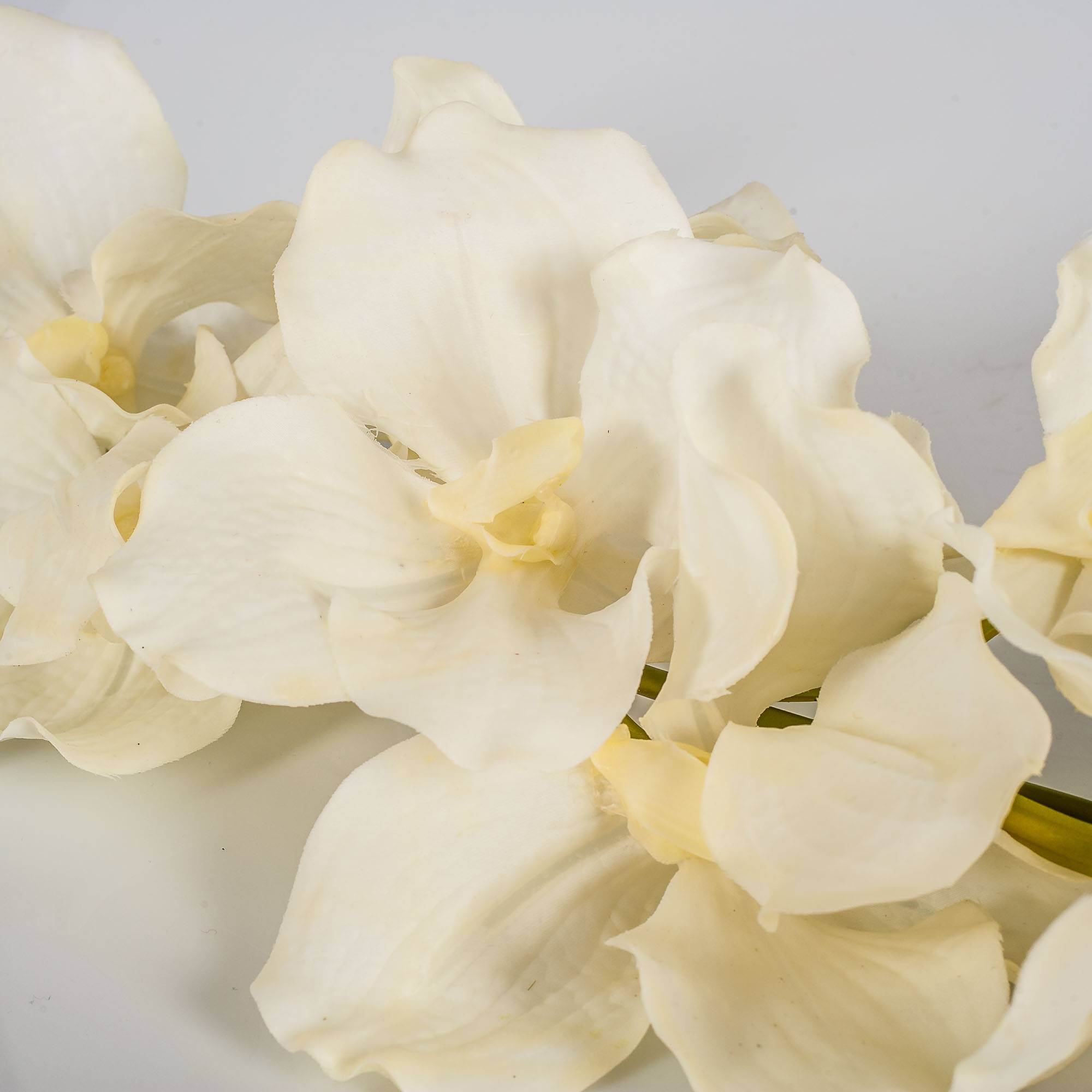 Orchidea vanda artificiale JIA in vaso di vetro, crema-bianco, 50cm