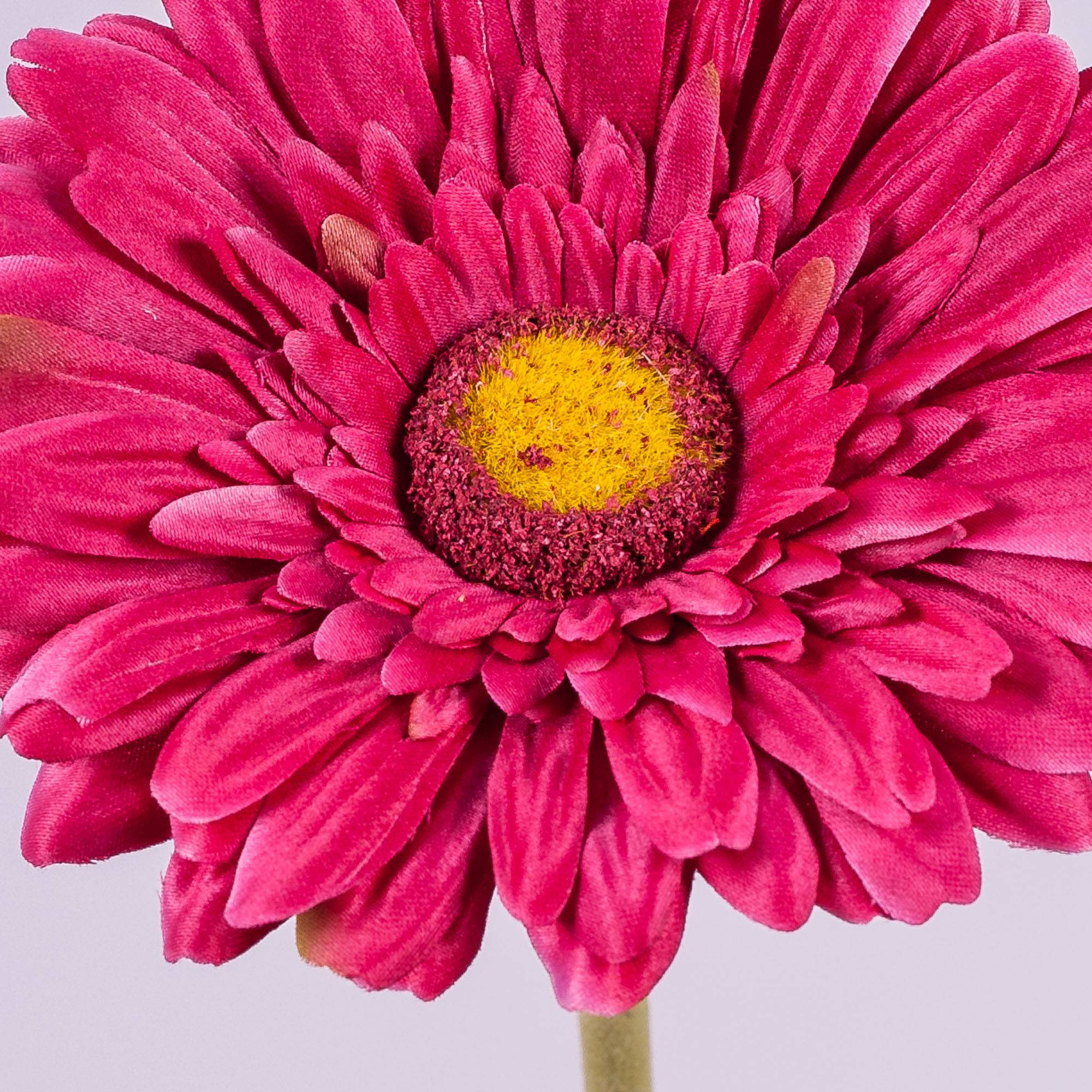 Chiudipacco adesivi circolari con immagine di una gerbera fucsia