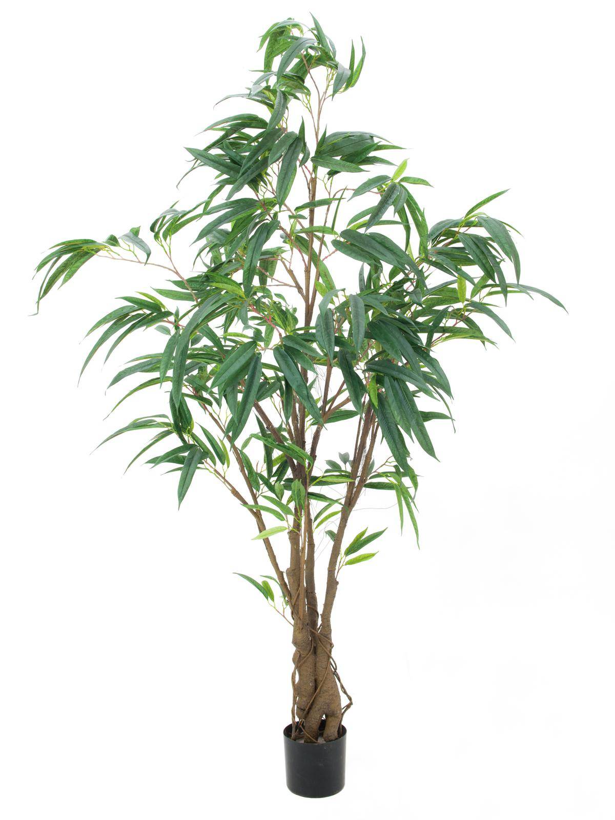 Albero della gomma finto DEVI, tronco naturale, verde, 180cm - Alberi  artificiali