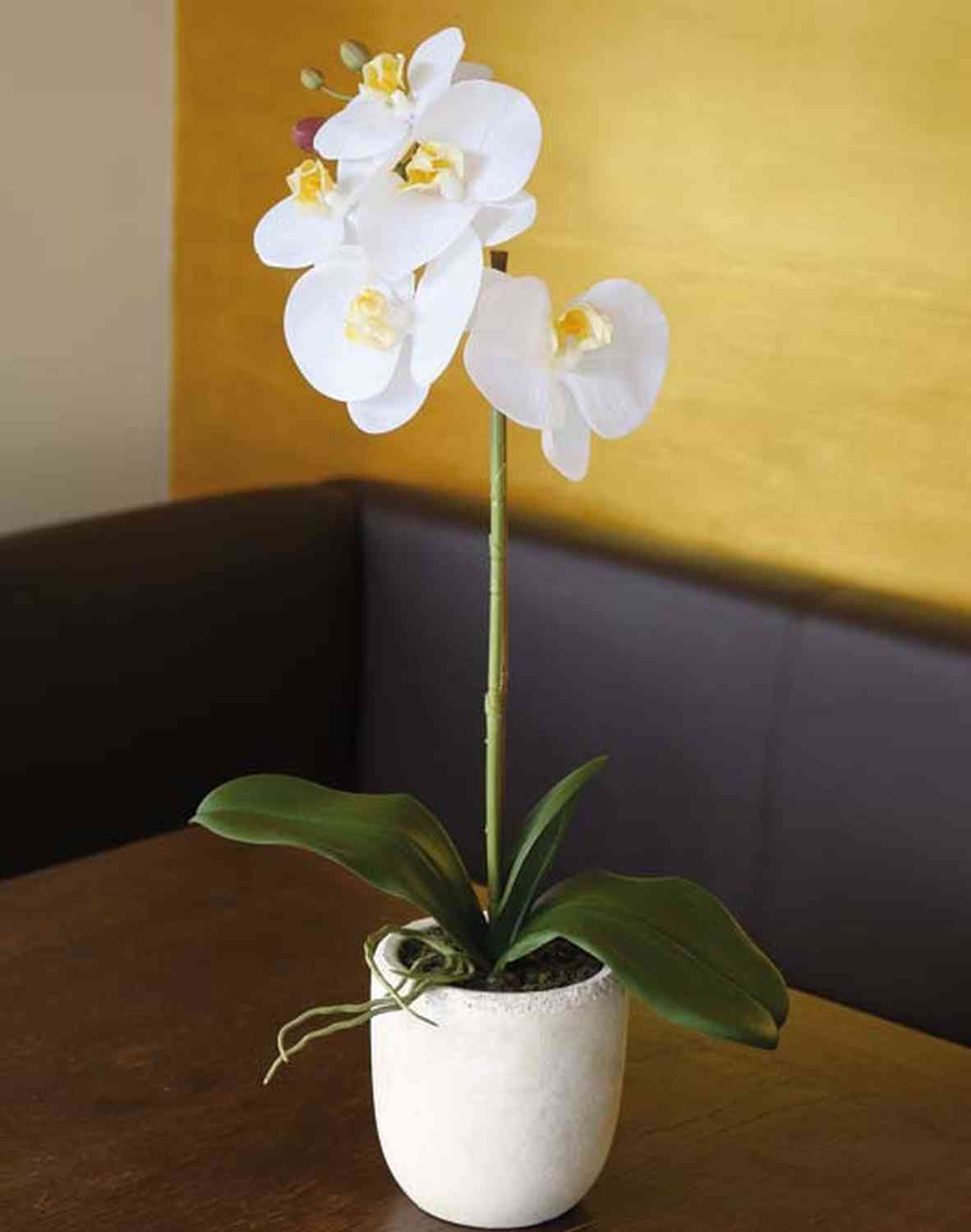 Vaso decorativo argilla naturale 50cm
