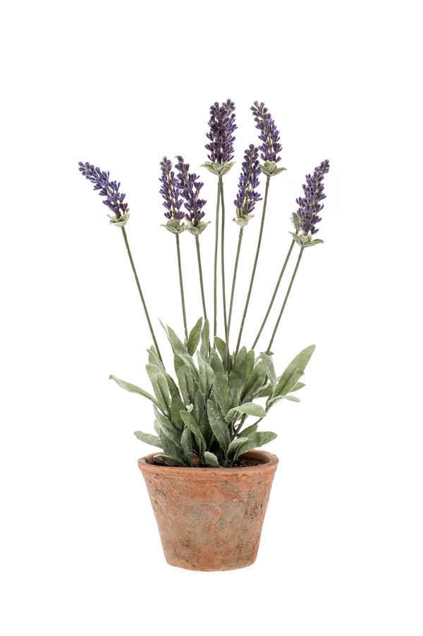 Lavanda finta VALERIE in vaso di terracotta, lilla, 30cm, Ø2cm - Fiori  artificiali