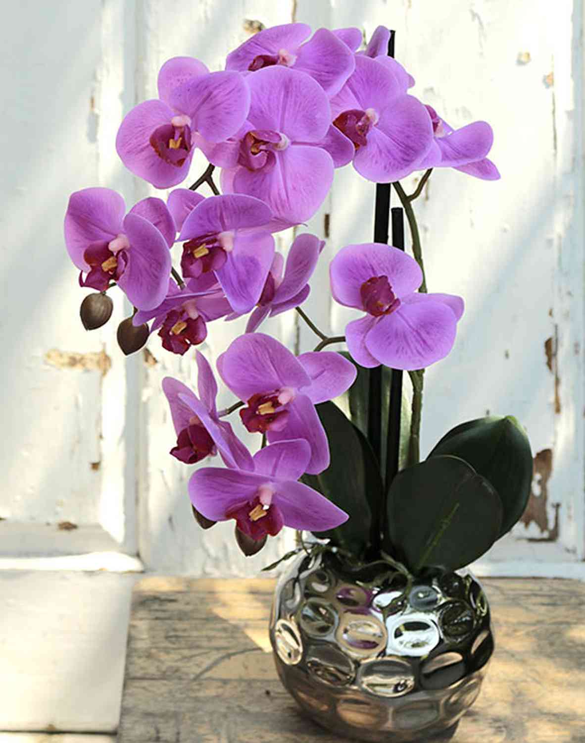 Lusso vero tocco artificiale grande orchidea Phalaenopsis rosa, finta  orchidea farfalla rosa, orchidea di seta con felci in un vaso di metallo  punteggiato d'oro -  Italia