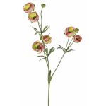 Ranuncolo artificiale YARIS, verde-rosa, 65cm, Ø3-4,5cm