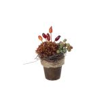 Composizione di fiori artificiali dalia, rosa canina, uva MUSAN, vaso decorativo, rosso-arancio-verde, 10cm, Ø7cm