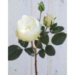 Rosa centifolia artificiale MIRETTA, crema-bianco, 60cm, Ø3-9cm