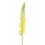 Eremurus artificiale SELINA, giallo, 105cm, Ø9cm