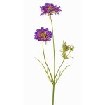 Scabiosa artificiale ANDIA, liilla-viola, 80cm, Ø8-10cm