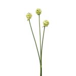 Mazzo di fiori artificiali di allium LAMDA, crema-verde, 65cm