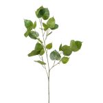 Ramo artificiale di Ficus religiosa ASCELLA con frutti, verde, 95cm