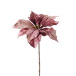 Poinsettia di velluto SHEBA, rosa antico, 55cm, Ø23cm