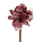 Amaryllis di velluto KIRSTY, rosa antico, 70cm, Ø9cm