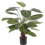 Calathea medaillon artificiale KUMARA, verde, 75cm