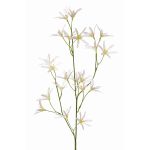 Tweedia solanoides artificiale PALLAS, bianco, 75cm, Ø5cm