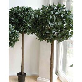 Albero Di Alloro Artificiale su tronco H.70cm