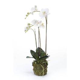 Orchidea finta PABLA con terriccio, bianco-rosa, 70cm, Ø8-10cm