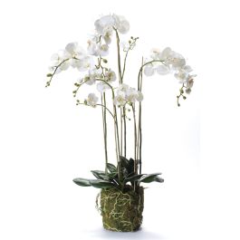 Orchidea finta PABLA con terriccio, bianco, 70cm, Ø7-12cm - Fiori  artificiali