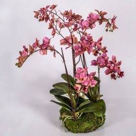 Orchidea finta PABLA con terriccio, bianco, 90cm, Ø10-13cm - Fiori