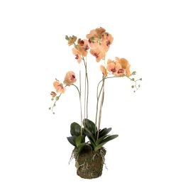 Orchidea finta PABLA con terriccio, bianco, 70cm, Ø7-12cm - Fiori