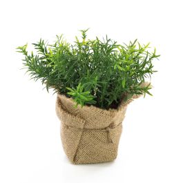 Pungitopo finto VITUS, in sacco di juta , verde, 22cm, Ø24cm - Erbe  aromatiche artificiali