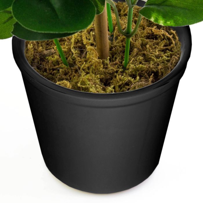 Pianta di peperomia finta ZORAN in vaso decorativo, verde, 30cm - Piante  artificiali