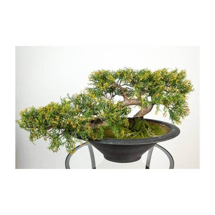 Cedro bonsai finto GABRIA, radici, ciotola, verde-arancione, 40cm