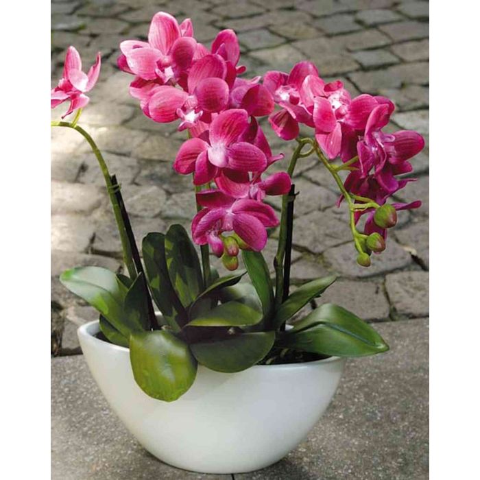 Orchidea Phalaenopsis artificiale JASMIN in ciotola di ceramica, bordeaux,  40cm