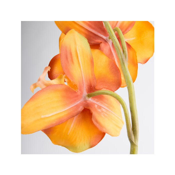 Orchidea Phalaenopsis finta TAMIA, vaso in argilla, arancione-giallo, 50cm