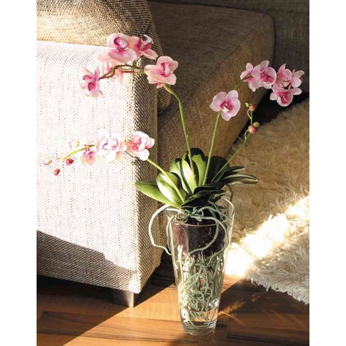 VASO TRASPARENTE IN PLASTICA IDEALE PER LE ORCHIDEE DIAMETRO CM 15