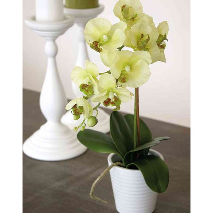 Orchidea Phalaenopsis artificiale JASMIN in vaso di ceramica, giallo-verde,  40cm