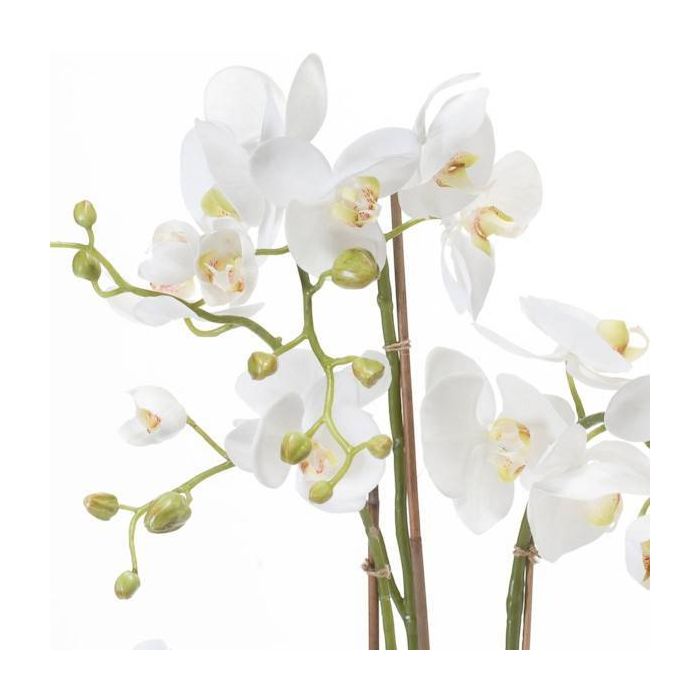Orchidea finta PABLA con terriccio, bianco, 80cm, Ø8-11cm - Fiori