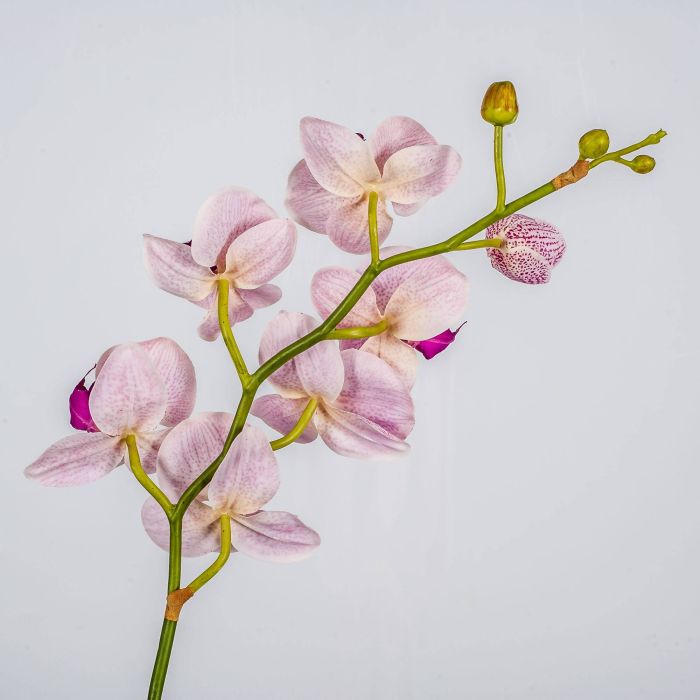 Orchidea Phalaenopsis finta LAHNA, lilla-fucsia, 70cm, Ø7-8cm - Fiori  artificiali