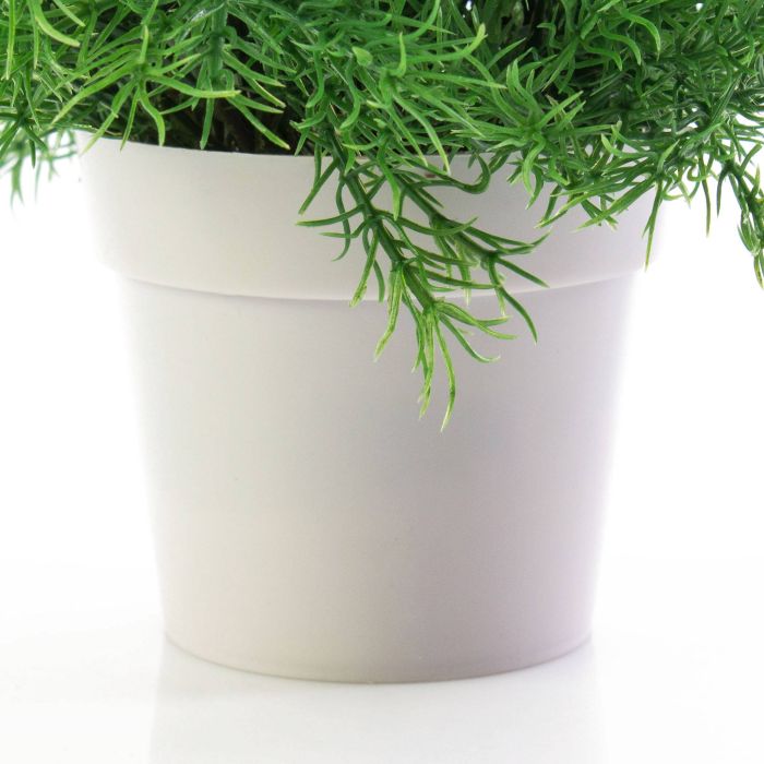 Asparago di plastica MAREK, vaso decorativo , 25cm, Ø25cm - Verdure  artificiali