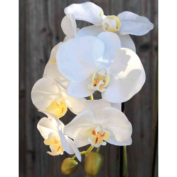 Orchidea phalaenopsis artificiale VEENA con terriccio, bianco, 60cm