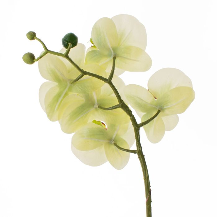 Orchidea Artificiale 65cm Con Petali Real Touch In Vaso Di Ceramica Verde