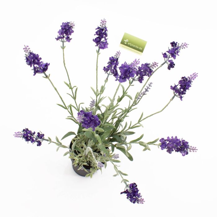 Lavanda finta LOUISE in vaso decorativo, viola scuro, 40cm, Ø4cm - Fiori  artificiali