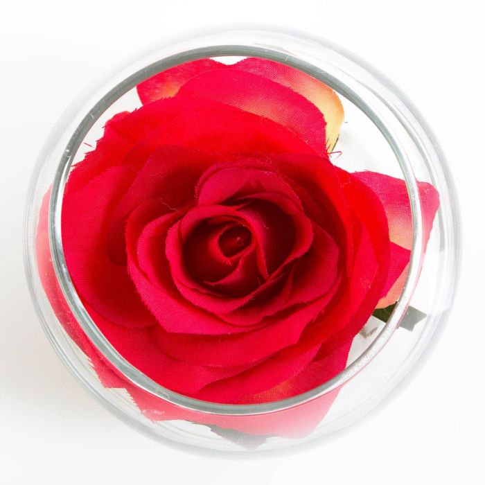 Testa di rosa artificiale in bicchiere di vetro, rosso-crema, 8cm, Ø 10cm -  artplants Composizione di piante artificiali