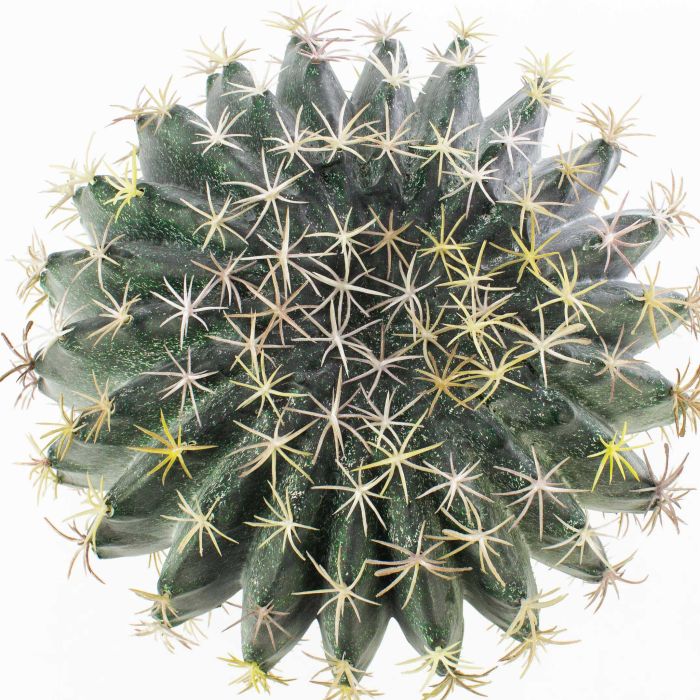 artplants.de Cactus cereo Artificiale Olivero in Vaso, Verde