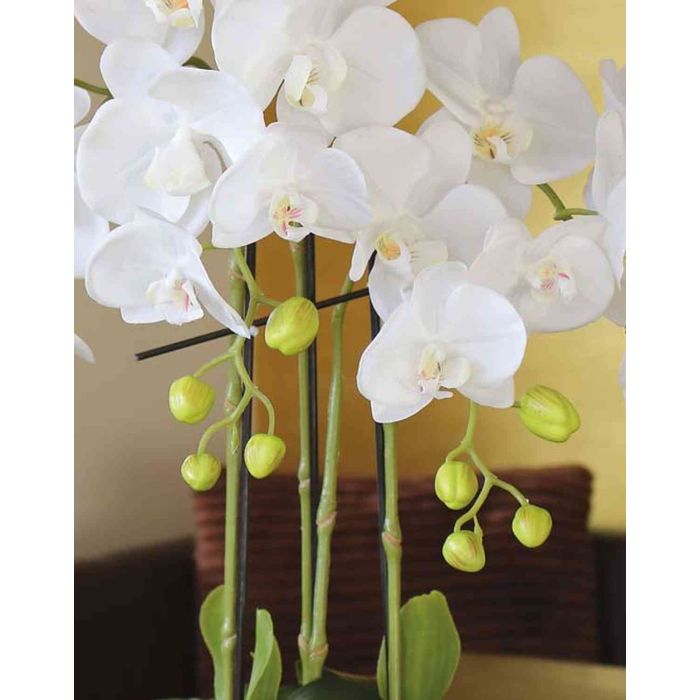 Orchidea phalaenopsis artificiale VEENA con terriccio, bianco, 60cm