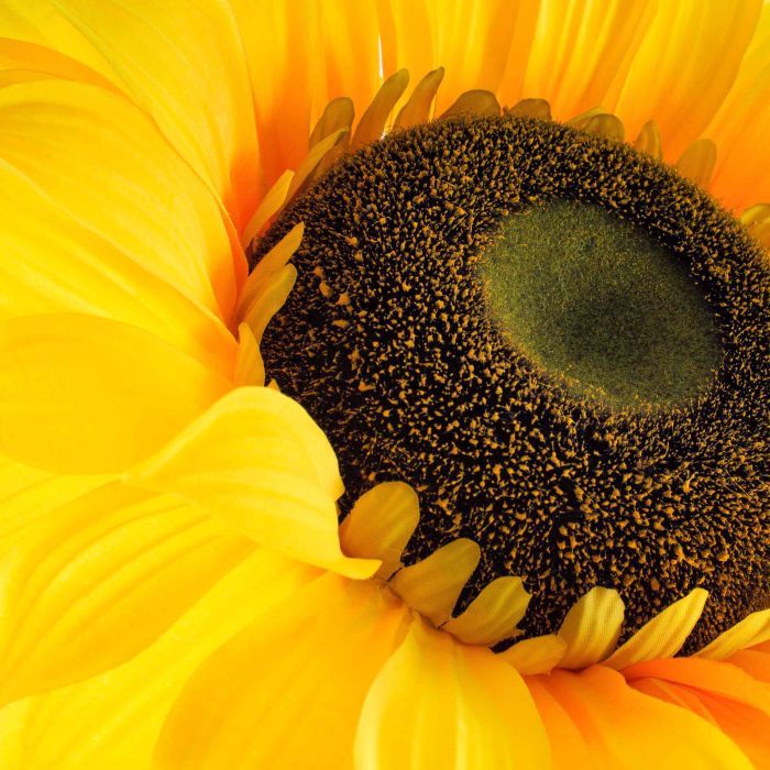 Fiore artificiale girasole country giallo