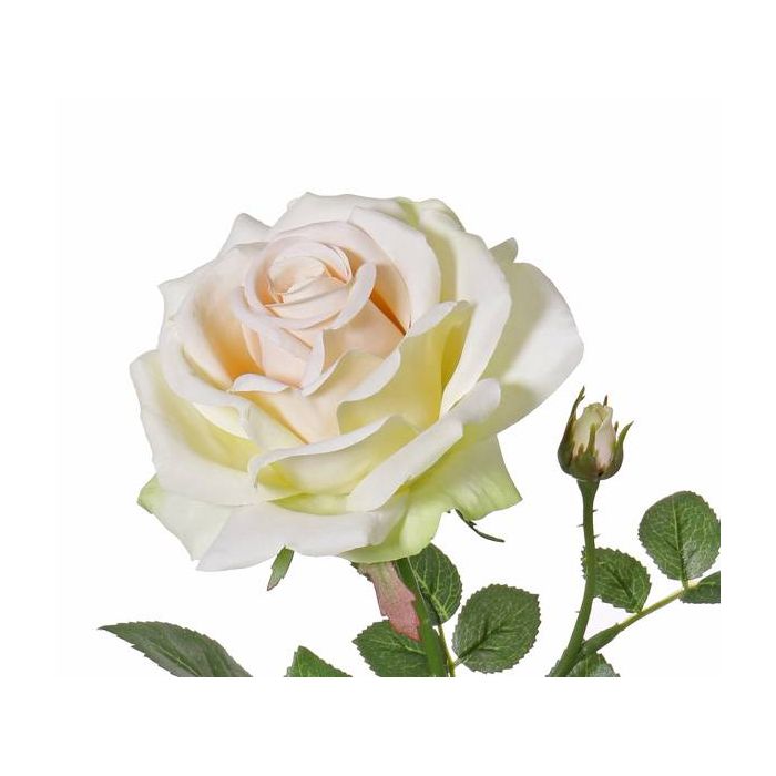 Rosa finta JANINE, crema-rosa, 70cm, Ø12cm - Fiori artificiali