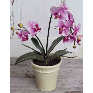 EASYCOMFORT Orchidea Finta in Vaso Alta 75cm per Interno ed