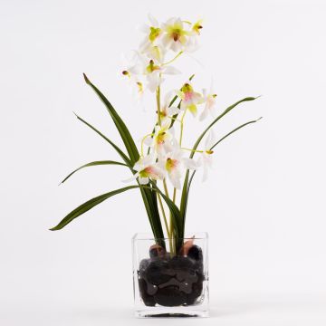 Orchidea Dendrobium artificiale ZUZA in vetro decorativo, bianco-verde, 35cm